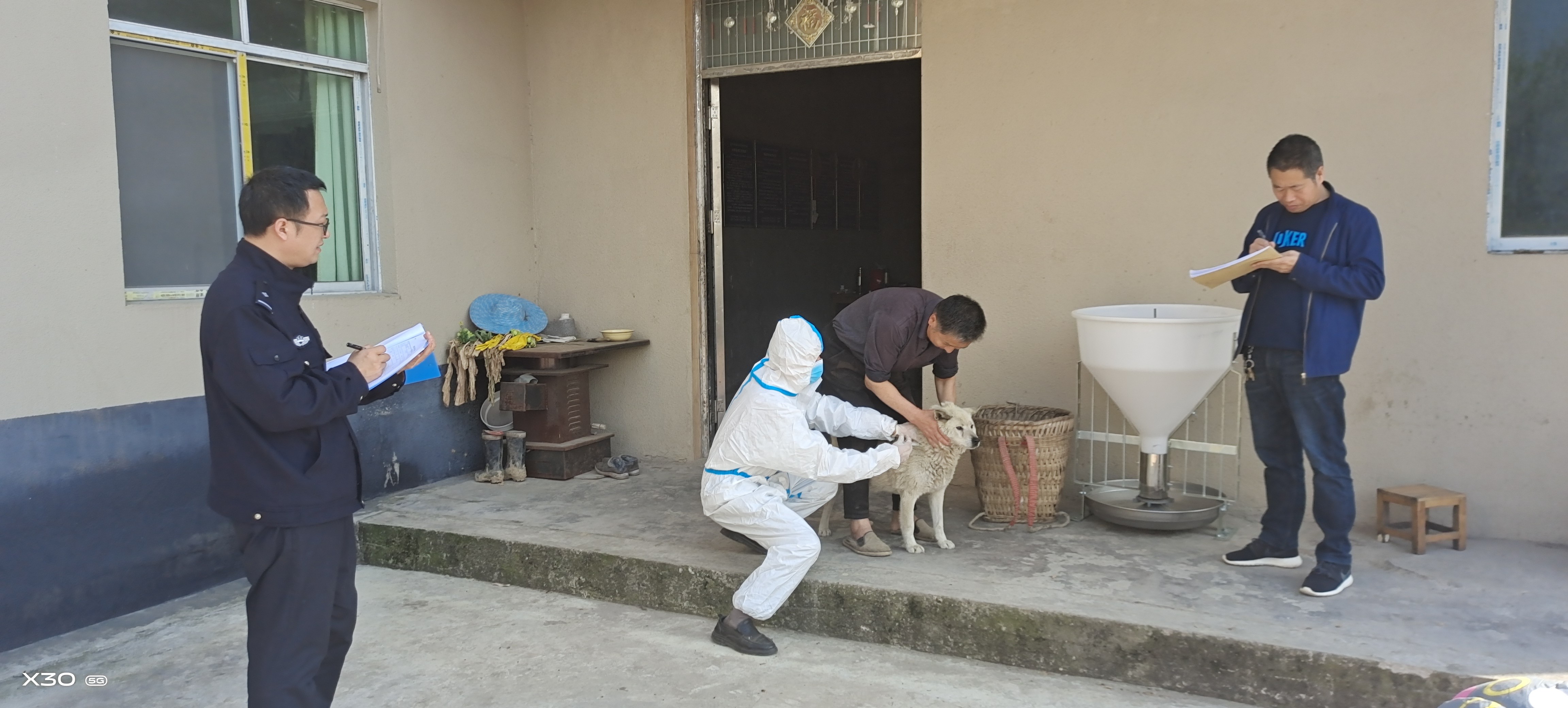 2025.03.27 嘉平农村犬只免疫.jpg