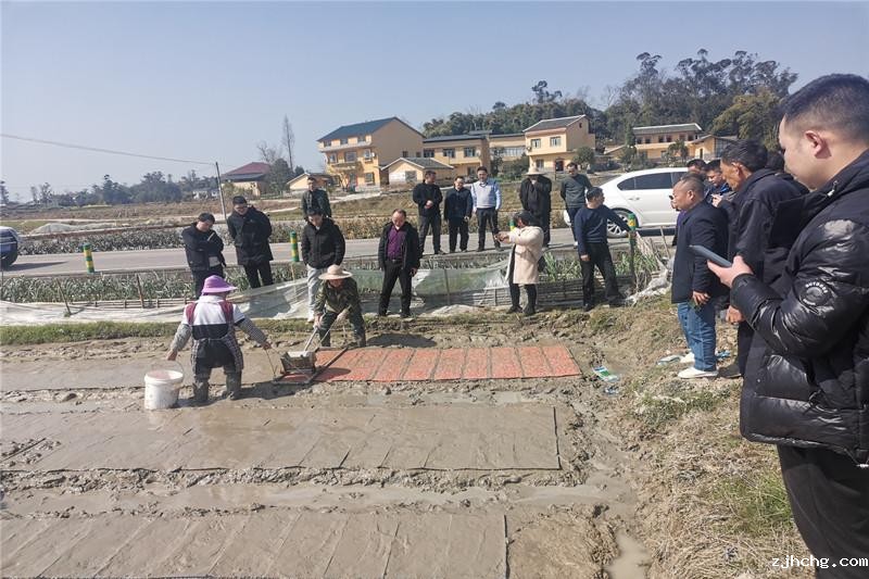 聚奎、新盛等地开展钵苗育秧指导