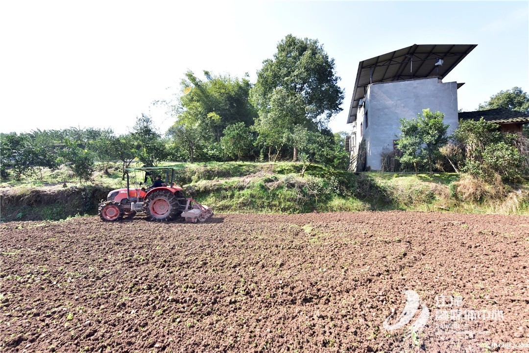 翻整土地2.jpg