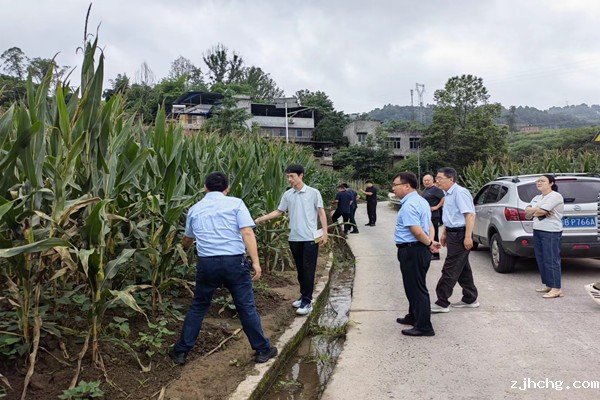 玉米种植基地现场调研(600 400).jpg