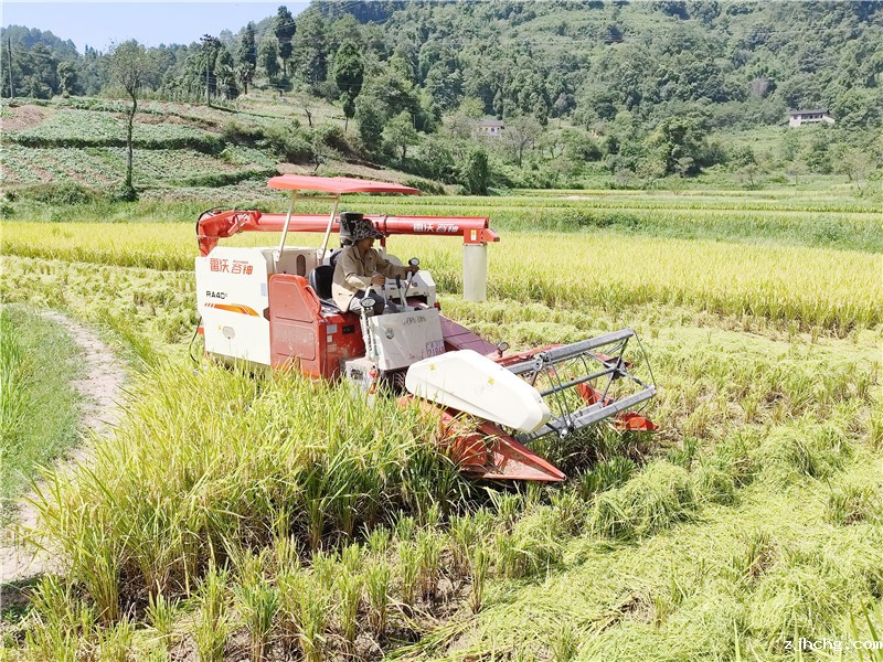 文龙街道金钗村,机收助农。摄影:刘明.jpg