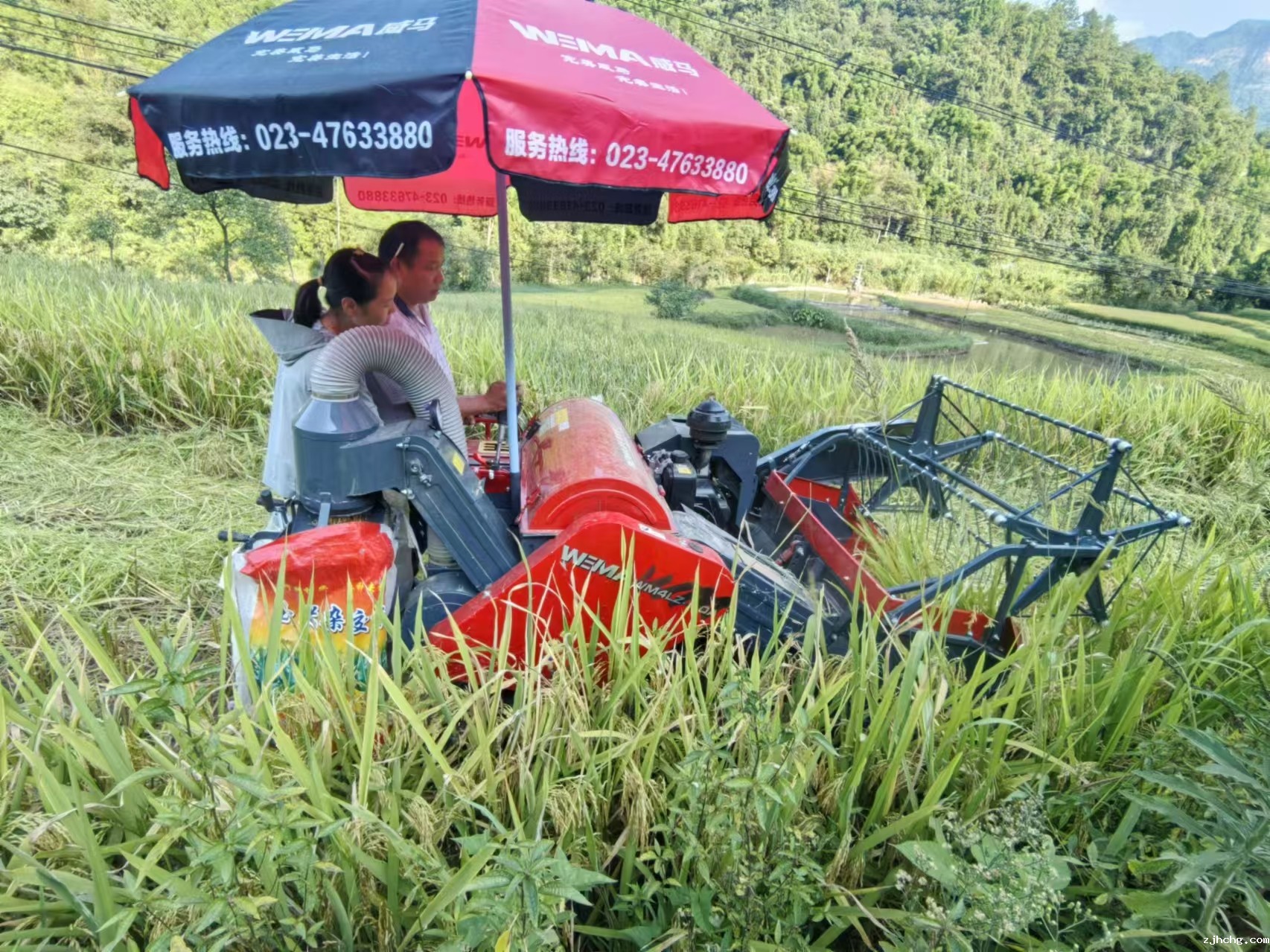 2村民操作收割机.jpg