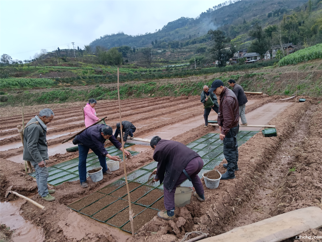 春分至 春耕忙 3.png