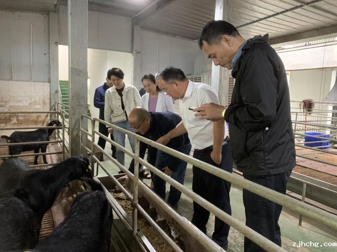 图2:查看山羊养殖(1).jpg