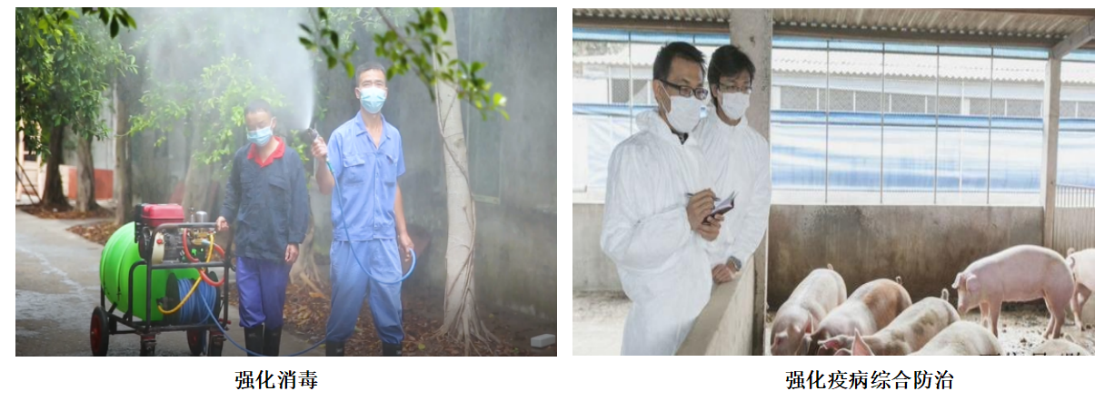 屏幕截图 2024-06-28 100854.png