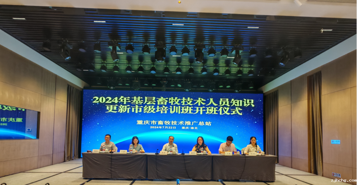 屏幕截图 2024-07-31 105134.png