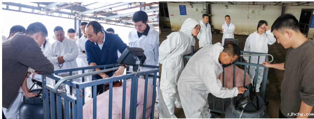 屏幕截图 2024-10-14 093008.png