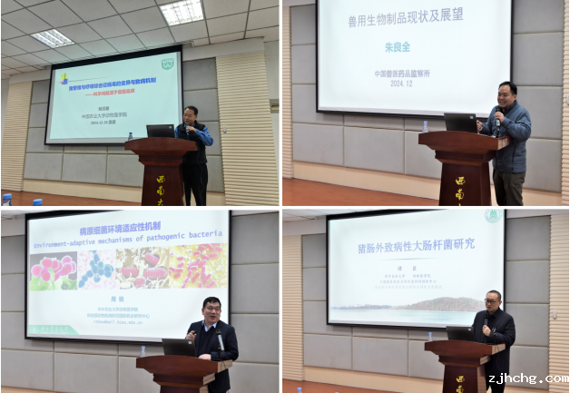 屏幕截图 2024-12-24 105602.png