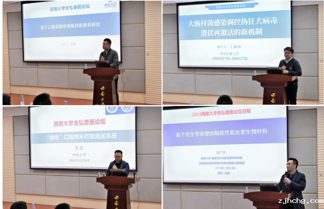 屏幕截图 2024-12-24 105640.png