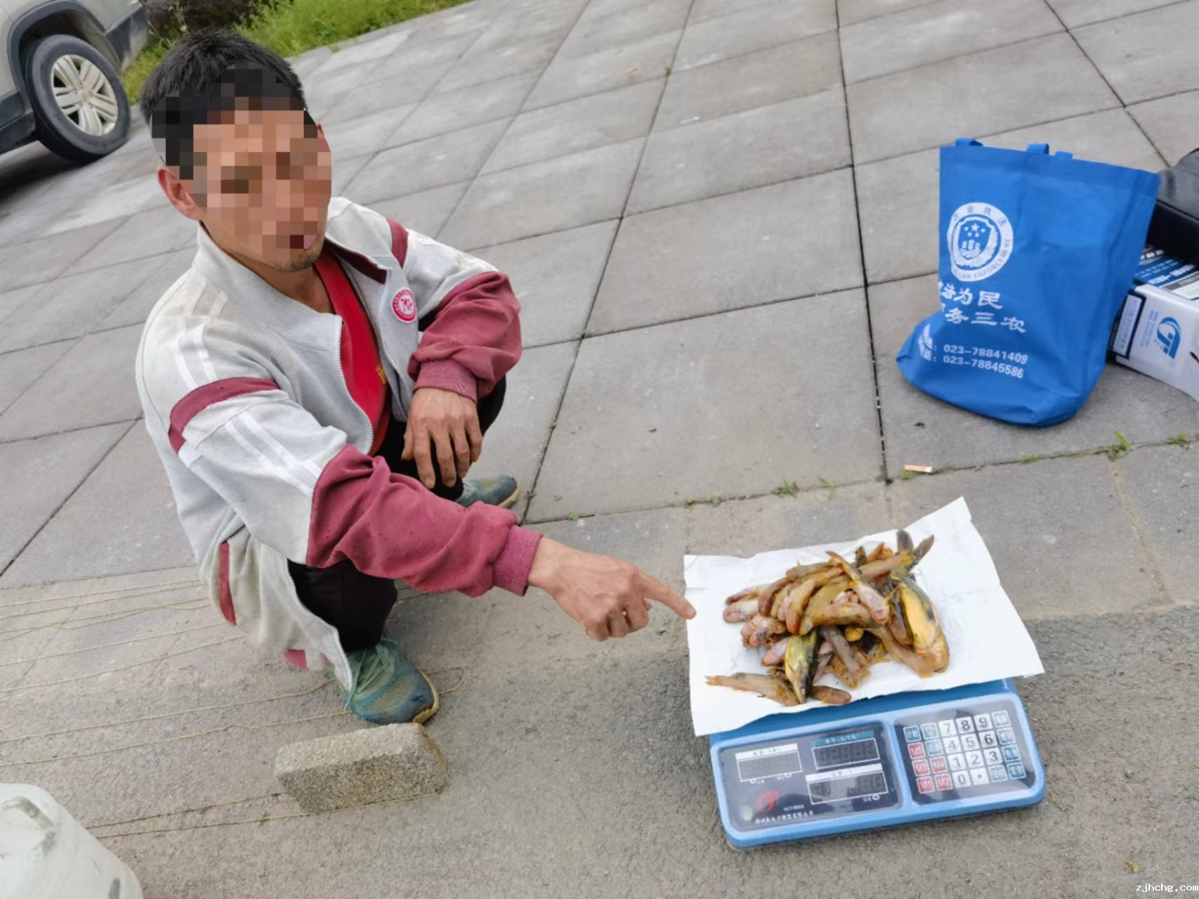 现场照片3 (2).jpg