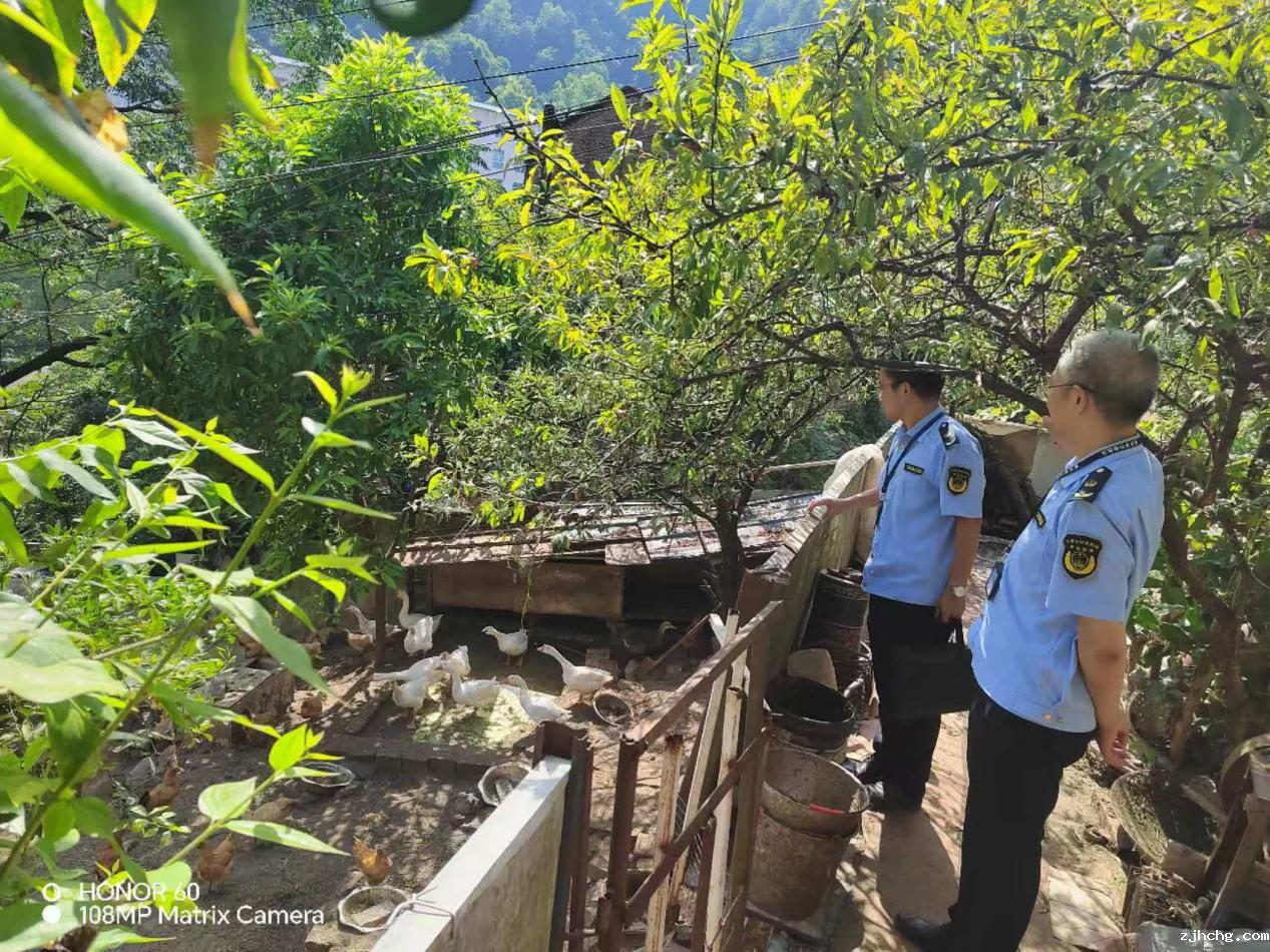 南岸区农业综合行政执法支队多措并举扎实开展畜禽养殖环节监管执法专项行动.png