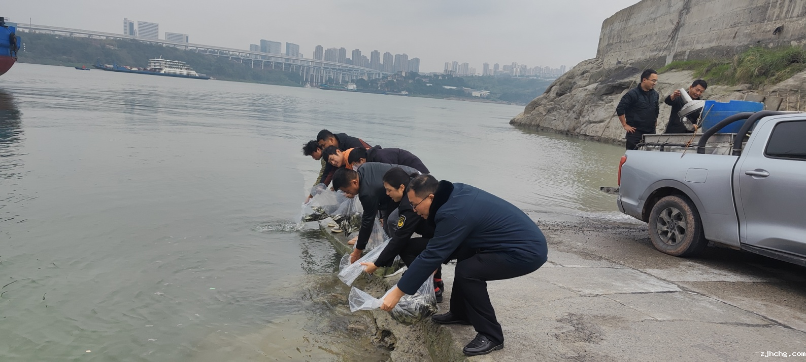 南岸区渔业生态环境损害赔偿工作取得积极进展:增殖放流助力长江生态修复.png